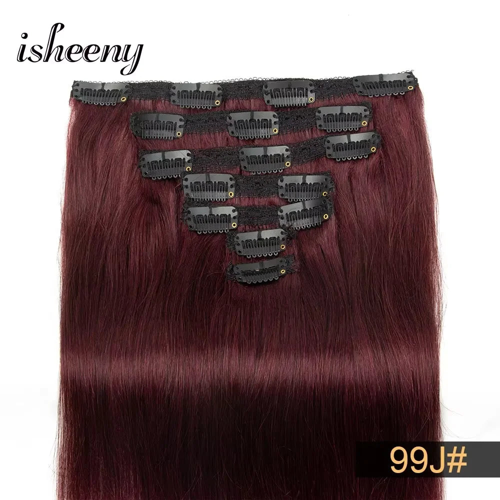 Highlight Clip in Human Hair Extensions